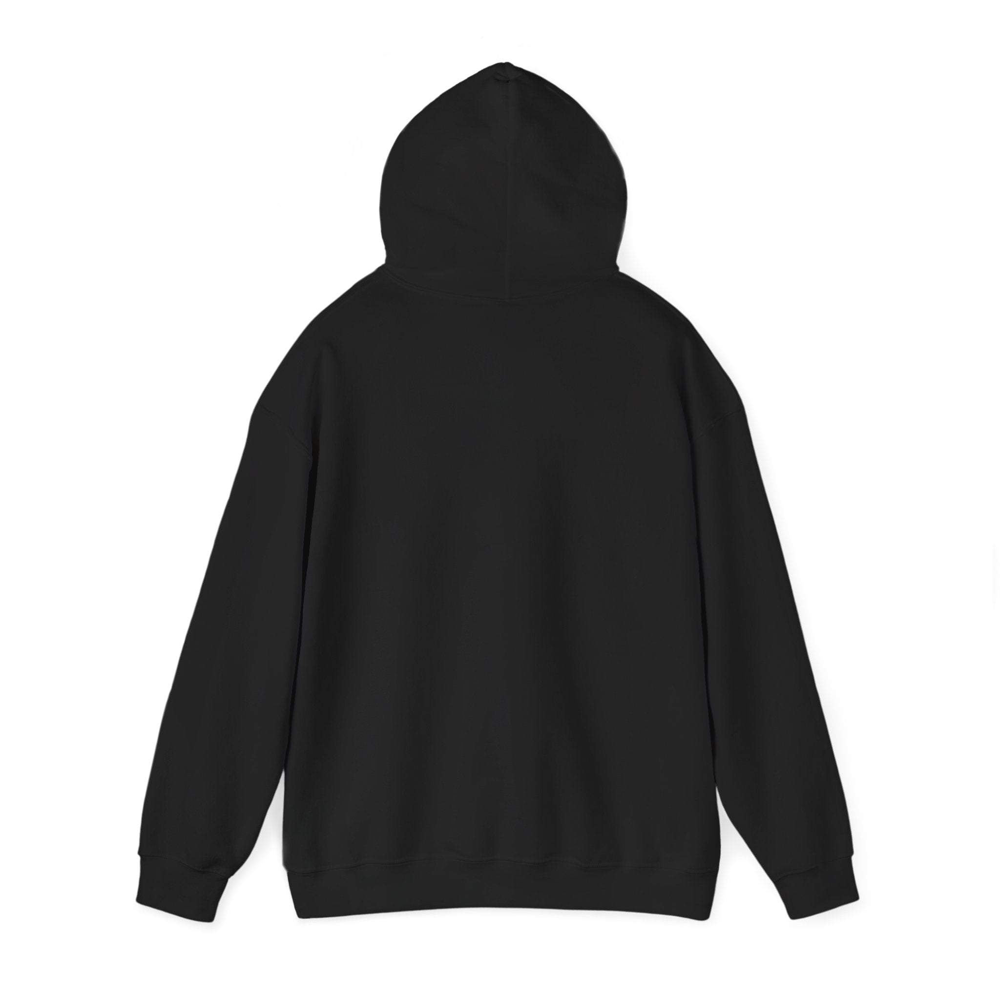 Cyclones Hoodie Sweatshirt