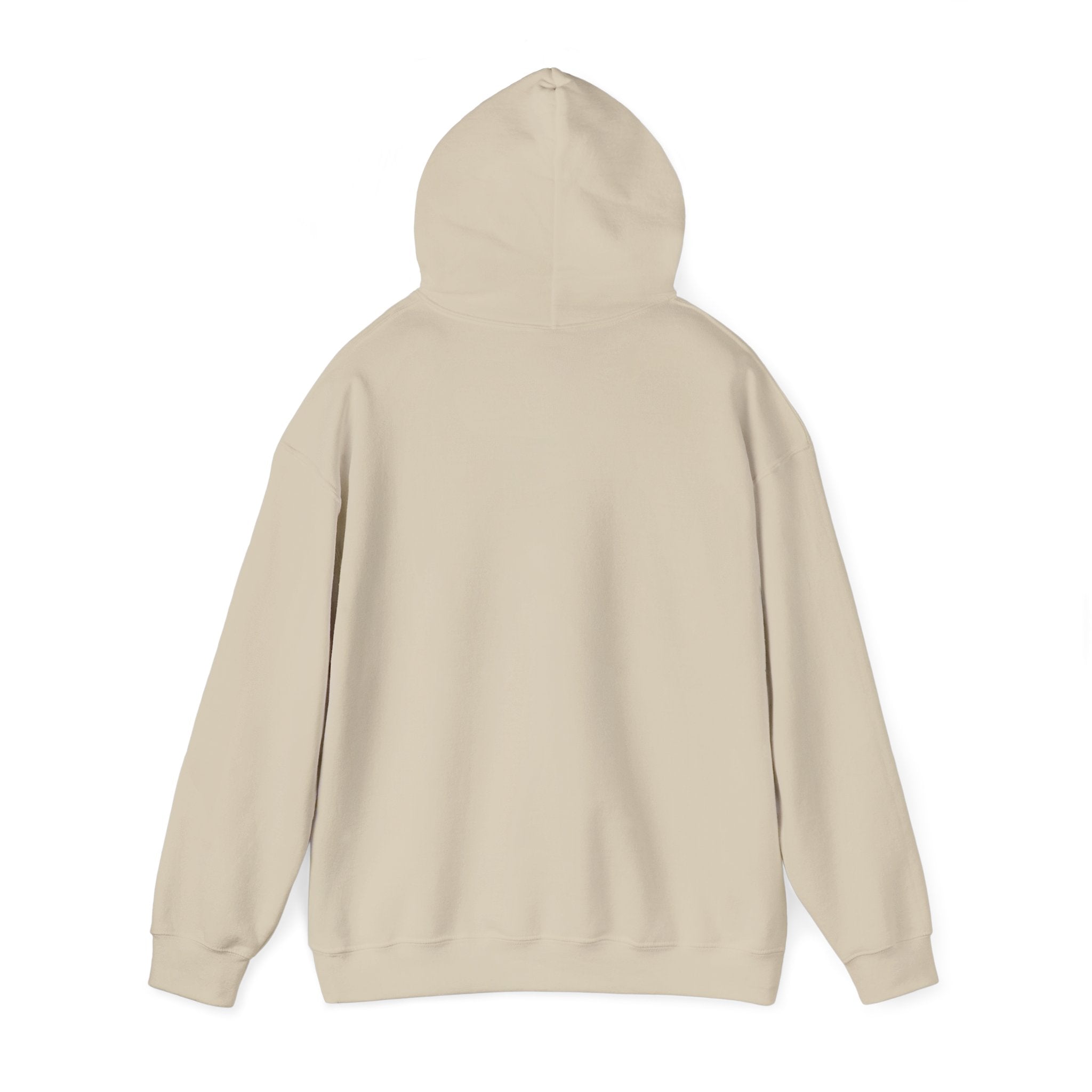 Cyclones Hoodie Sweatshirt