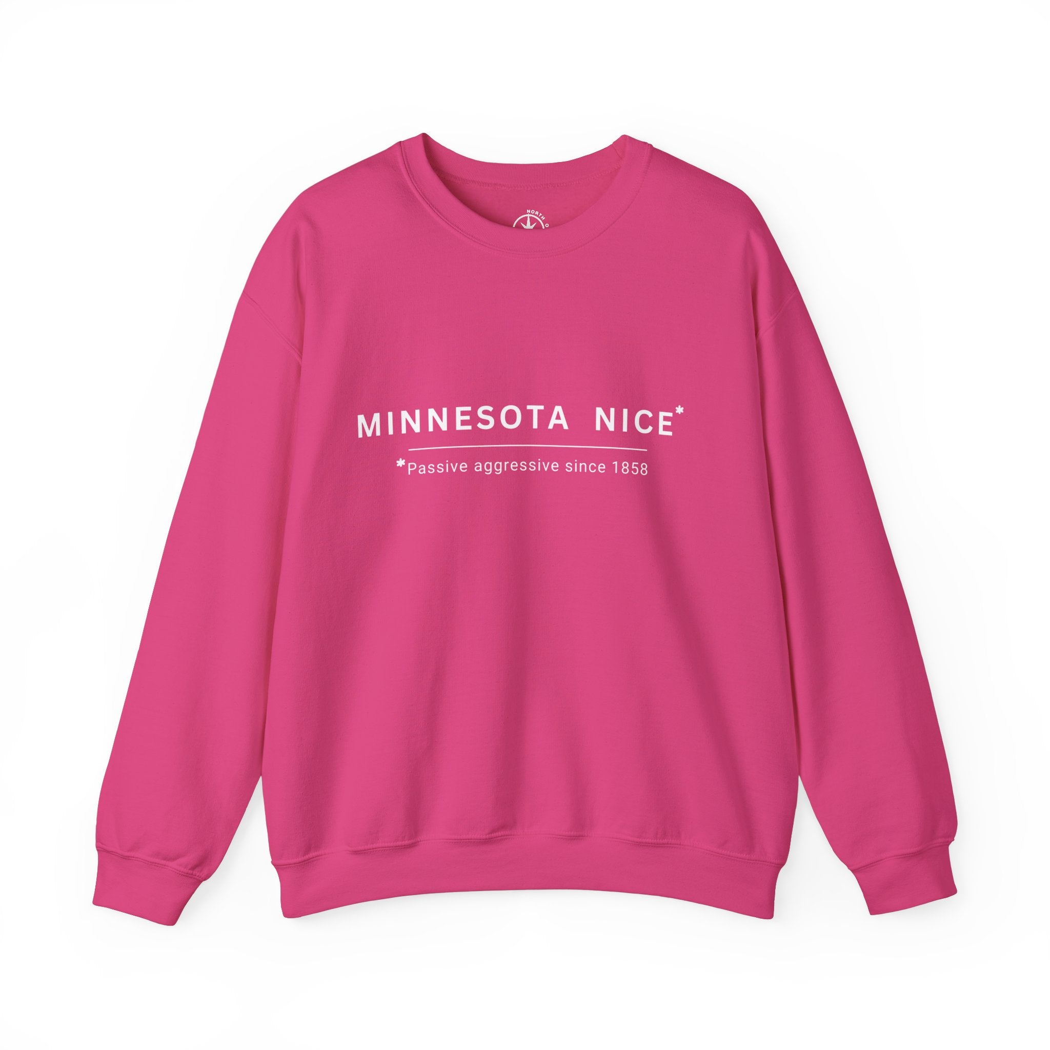 Minnesota Nice Sweatshirt, Passive Aggressive since 1858