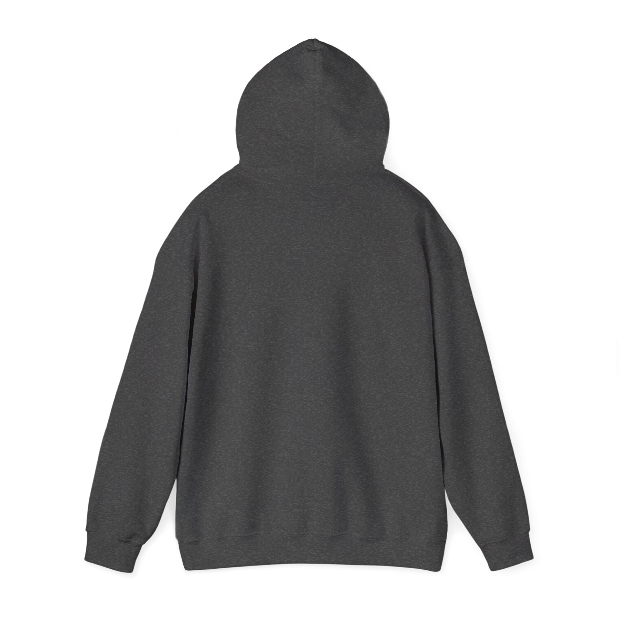 Cyclones Hoodie Sweatshirt