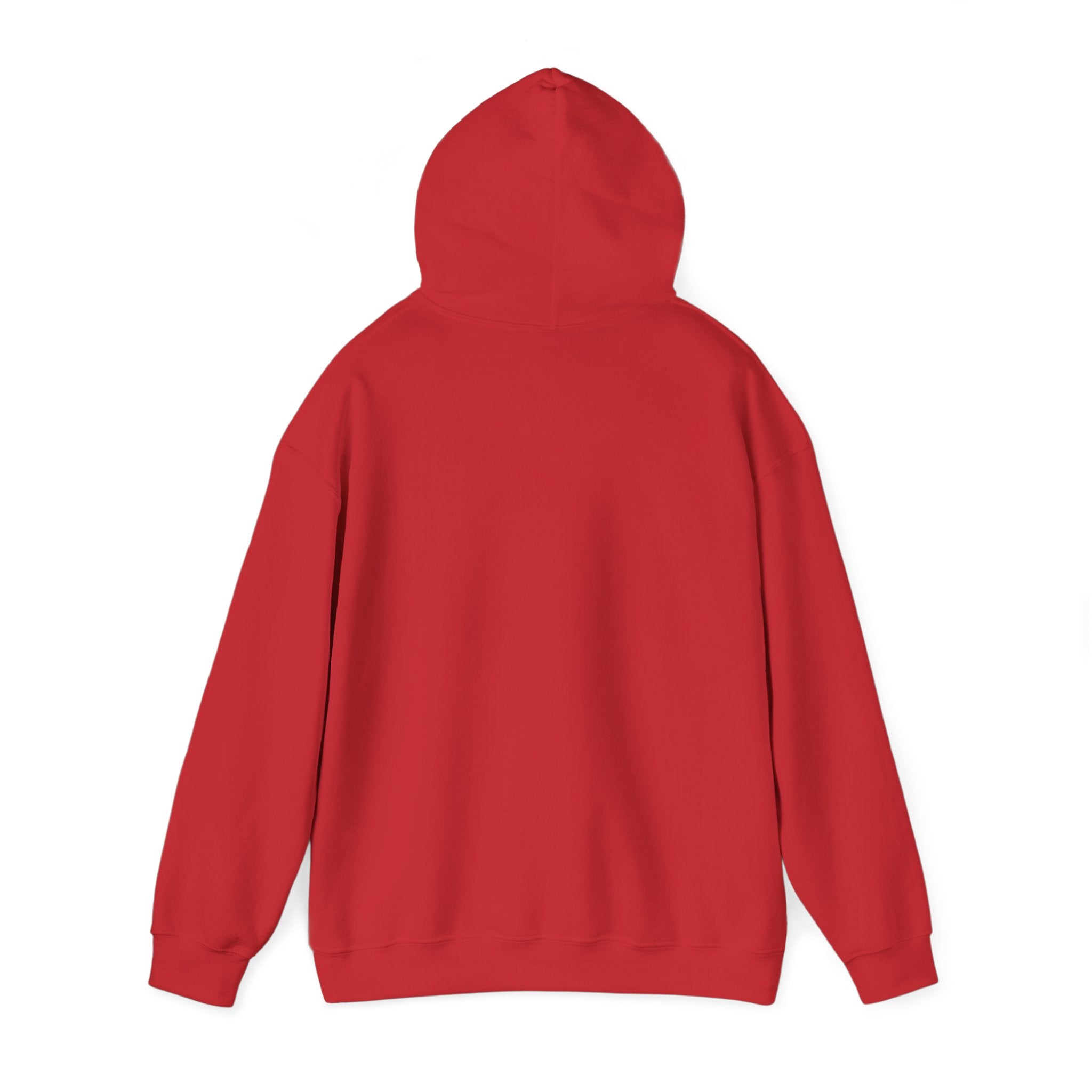 Cyclones Hoodie Sweatshirt