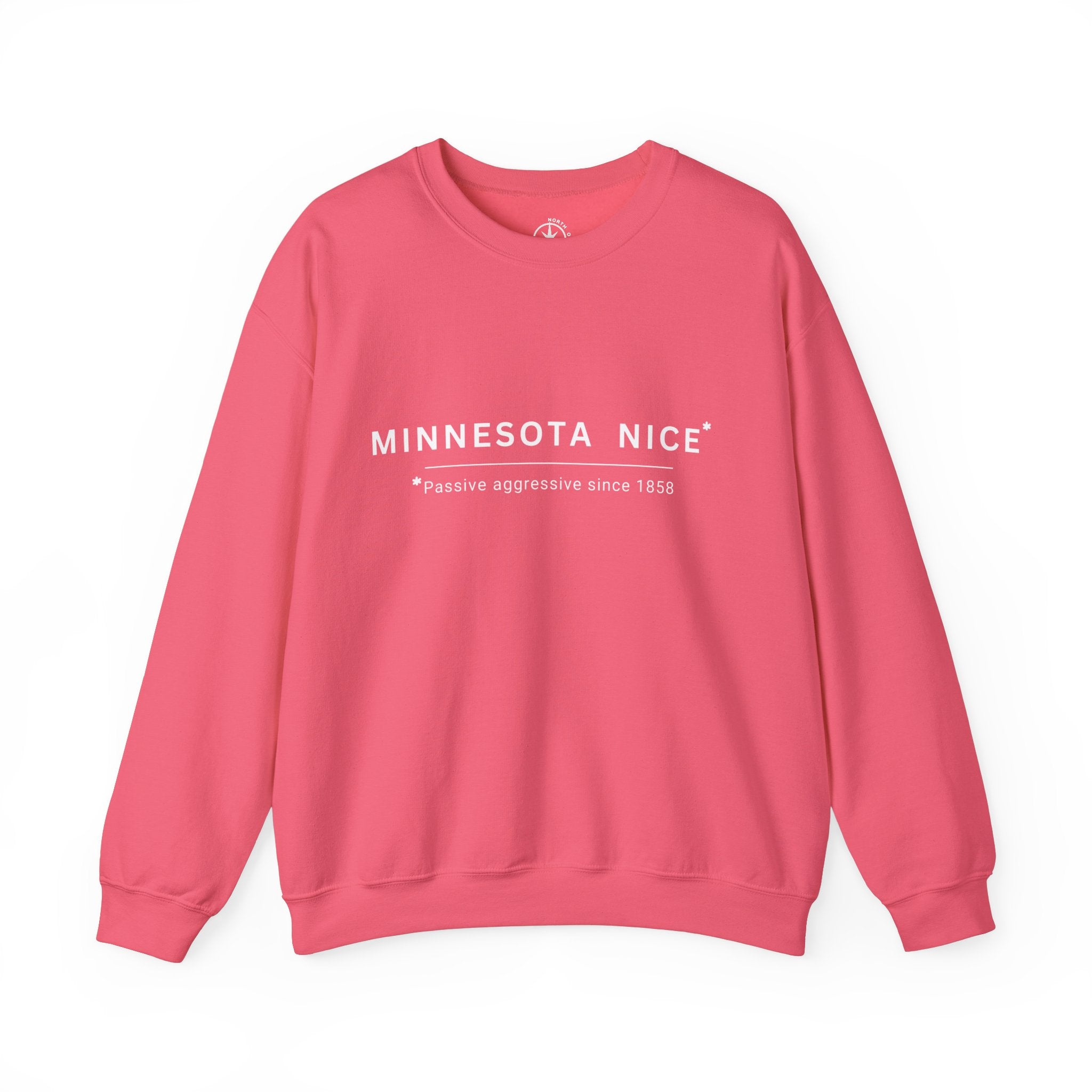 Minnesota Nice Sweatshirt, Passive Aggressive since 1858