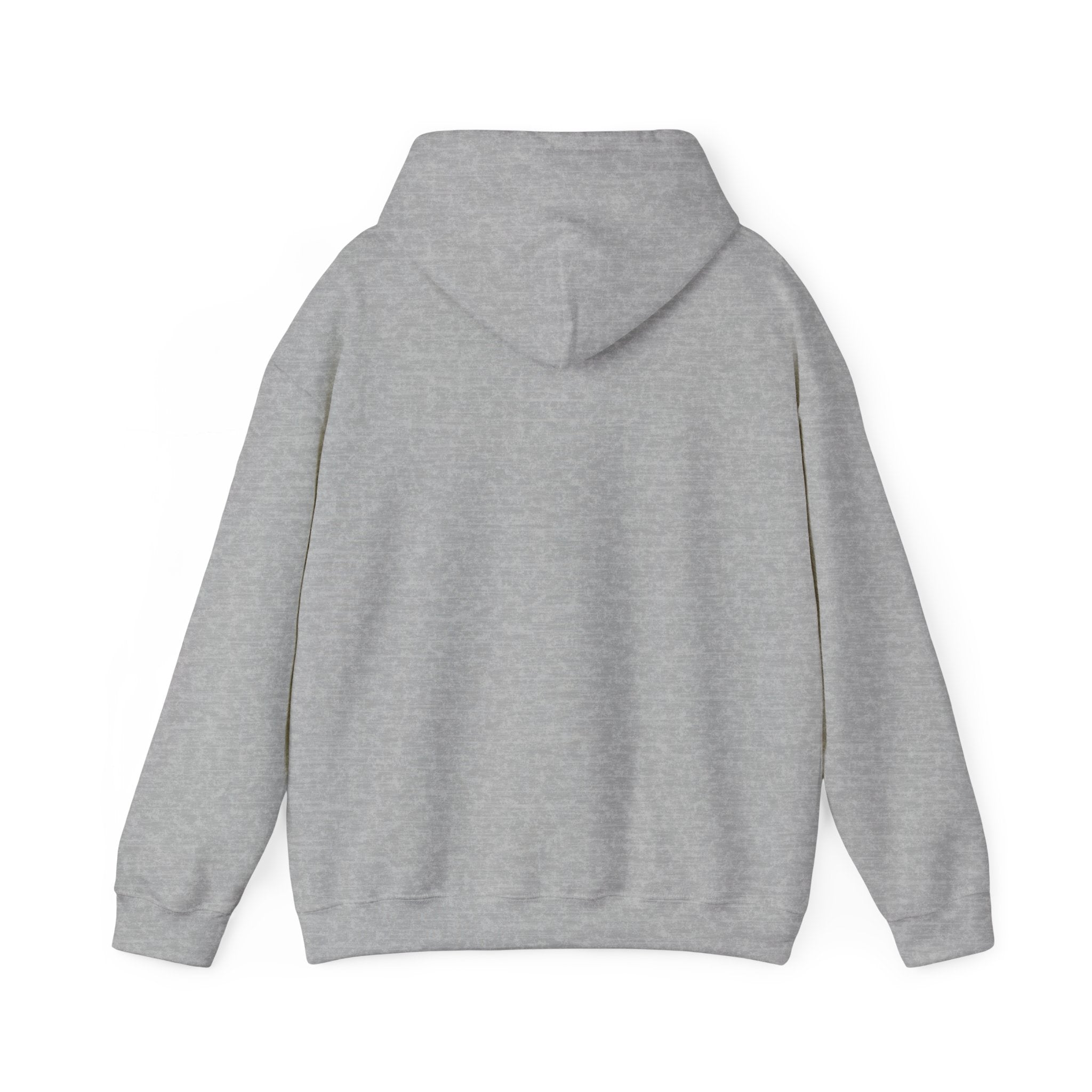 Cyclones Hoodie Sweatshirt