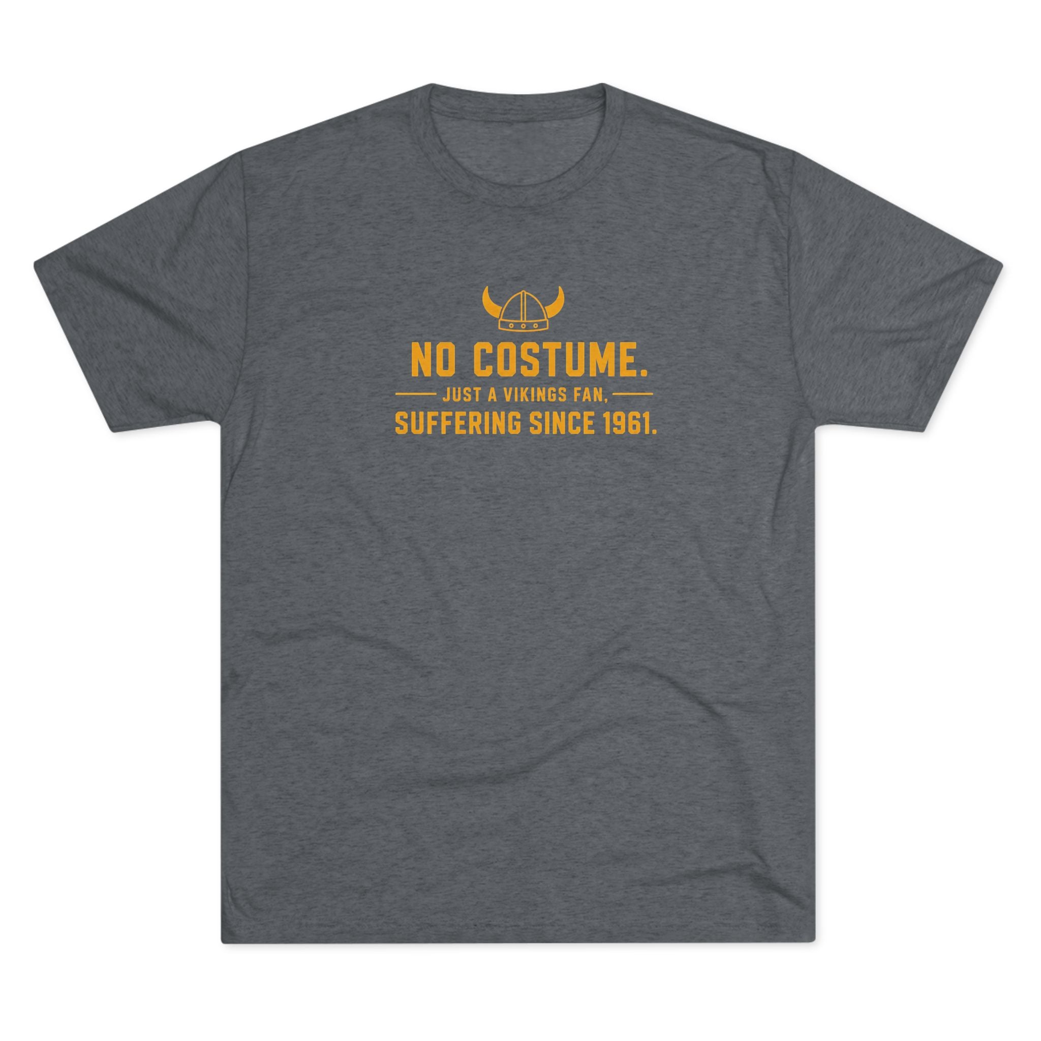 No Costume. Just a Vikings Fan. Suffering Since 1961