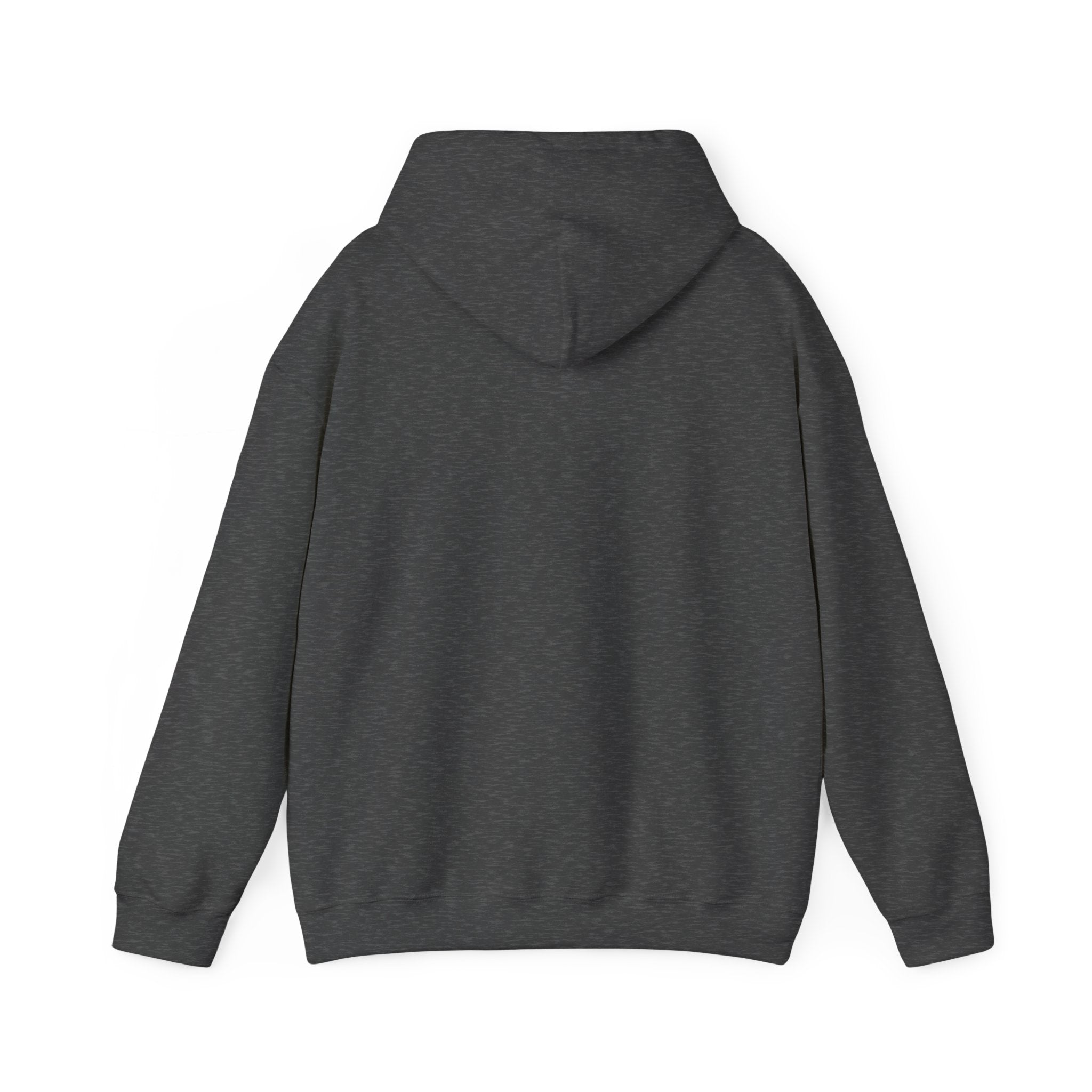 Cyclones Hoodie Sweatshirt