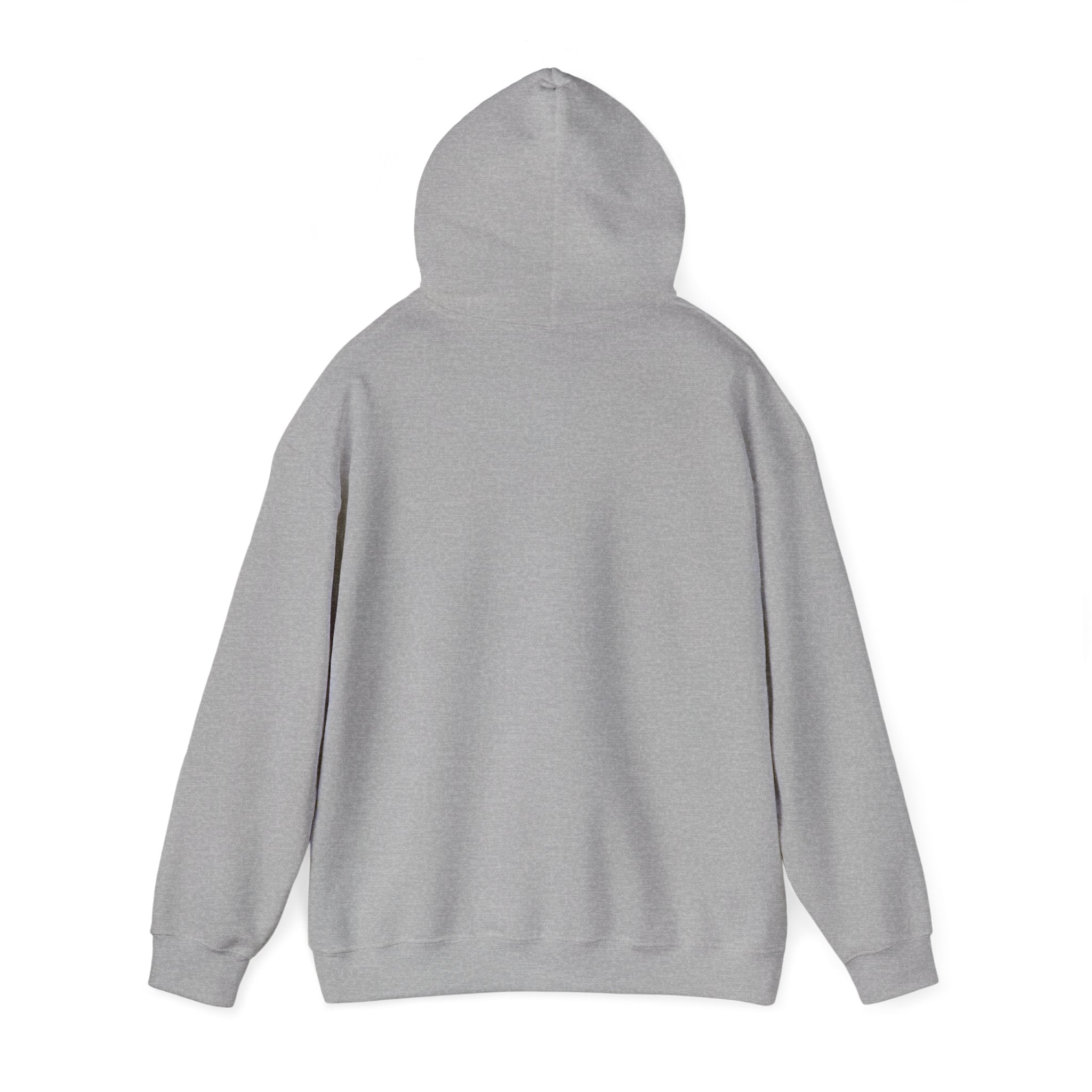 Cyclones Hoodie Sweatshirt
